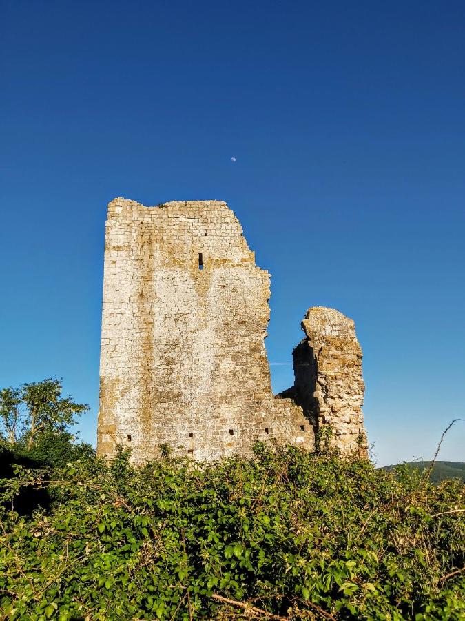 Il Castello Apartment Bucine ภายนอก รูปภาพ